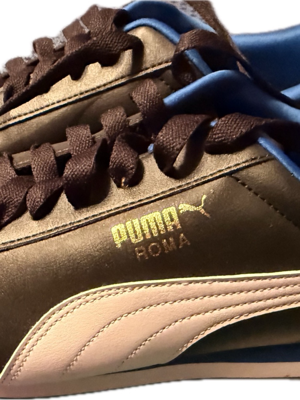 Puma Men’s Low-Top Sneaker in Black with White Stripe and Blue Lining